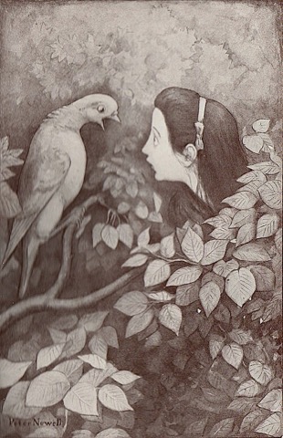 Alice und die Taube — Peter Newell für die amerikanische Ausgabe bei Harper, 1901