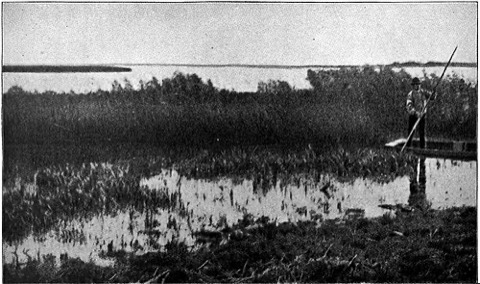 Der See Tåkern, Foto aus dem ersten Band, 1906