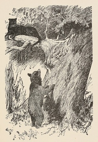 Bagheera im Baum, Baloo darunter — W. H. Drake, 1895