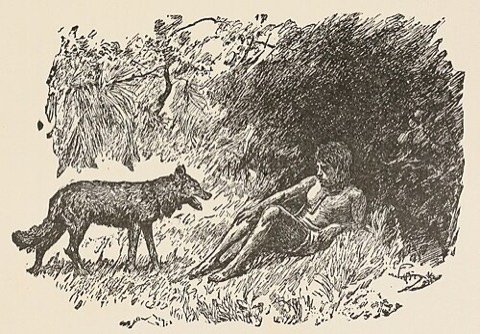 „Wake, little brother; I bring news“ — W. H. Drake, 1895