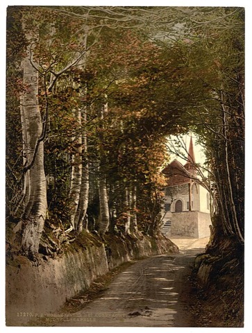 Die Hohle Gasse bei Küssnacht mit der Tellskapelle — Photochrom um 1890–1900