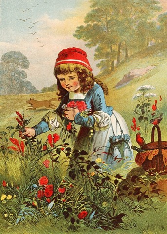Blumen pflücken statt auf dem Weg bleiben — Carl Offterdinger
