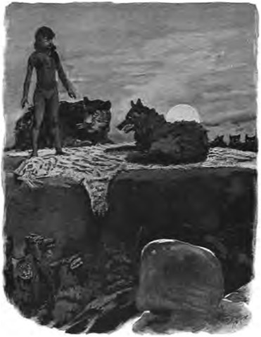 Mowgli breitet Shir Khans Fell auf dem Ratsfelsen aus — Erstausgabe 1894