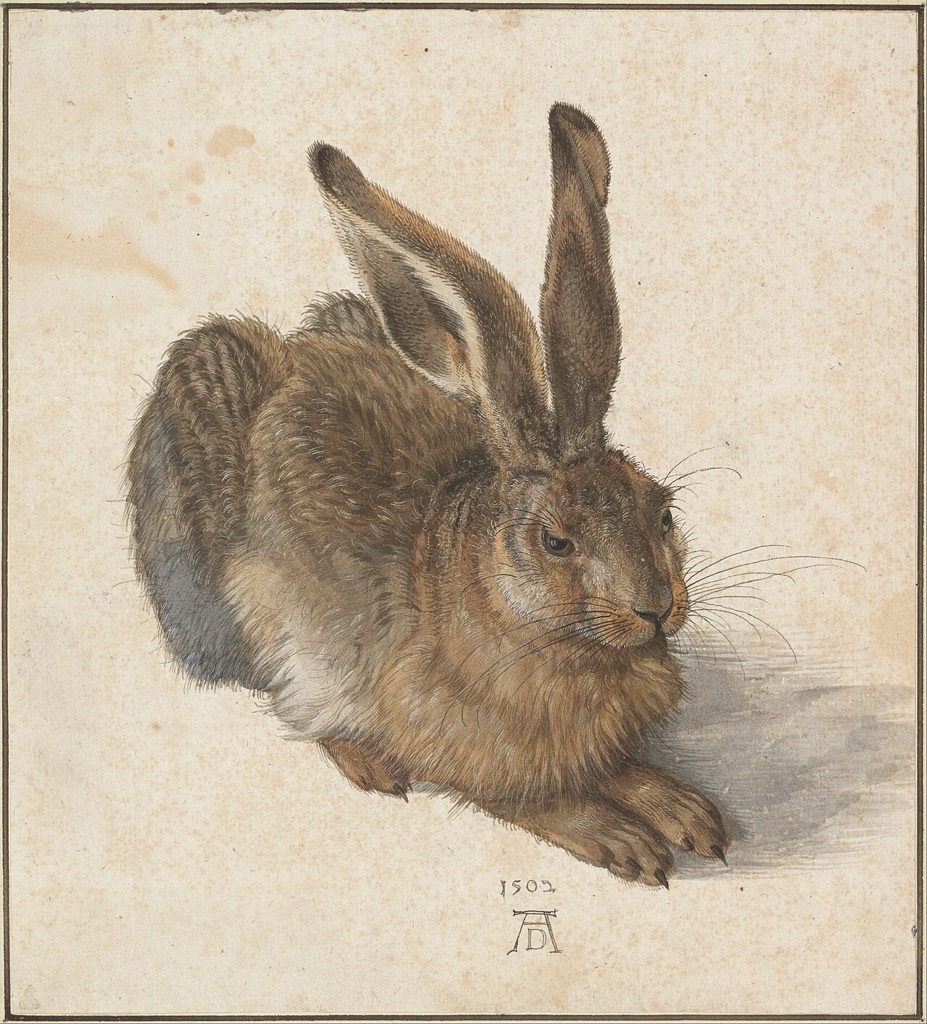Albrecht Dürer, Feldhase, 1502 — Albertina, Wien